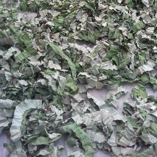 1kg lá sen khô tặng 50g cam thảo