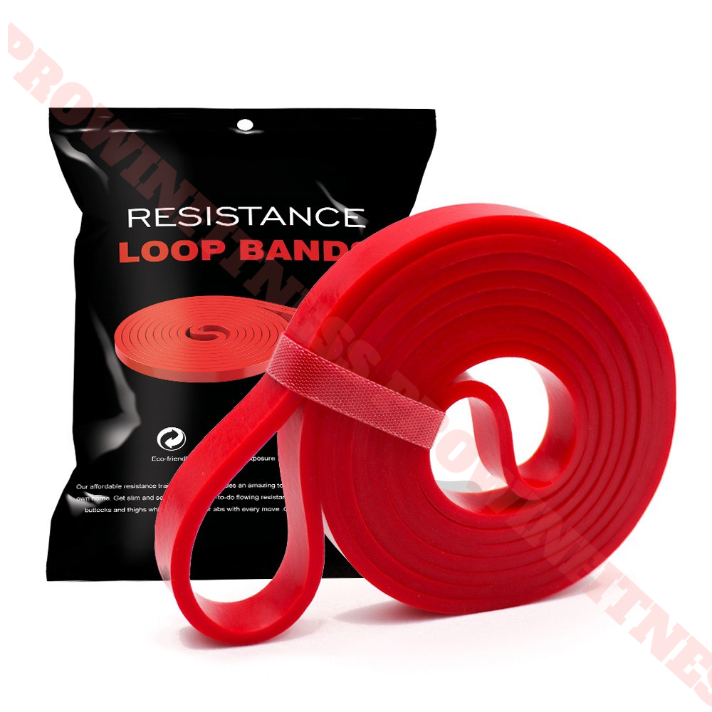 Dây kháng lực Power band Prowin Fitness tập gym, tập tay, chân, toàn thân, đàn hồi trợ lực kéo xà yoga