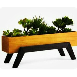 CHẬU GỖ chân cách điệu I Decor tiểu cảnh