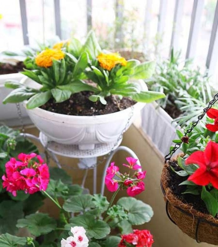 Bộ 5 chậu nhựa chảo treo dây sắt trồng hoa màu trắng đường kính 28cm