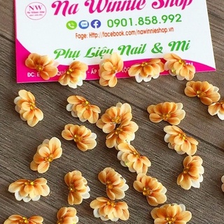 Hoa cúc nghiêng , hoa bột [ 12k/1cái ]