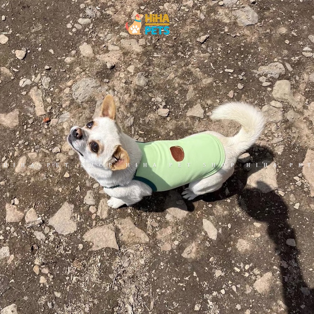 Áo Ba Lỗ Mỏng Thoáng Khí Dễ Thương Cho Thú Cưng áo cho chó quần áo cho mèo Hình Quả Bơ Hihapet