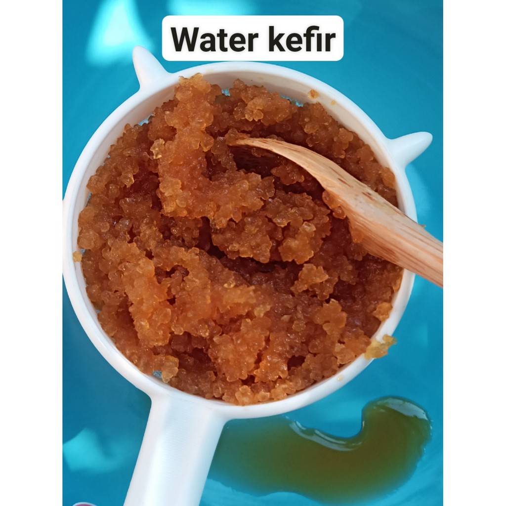 Nấm nước kefir- water kefir (20g)làm kefir nước dừa, nước ngọt có gas