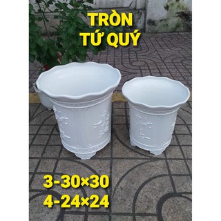 Chậu tròn tứ quý