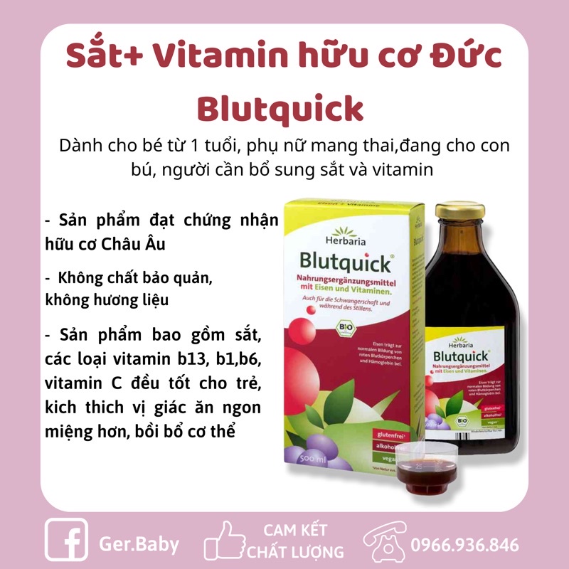 Sắt + Vitamin hữu cơ Blutquick Đức 250ml - Gerbaby