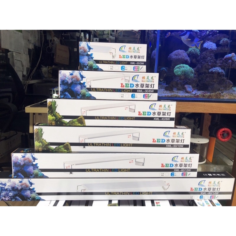 ĐÈN LED XML-WRGB