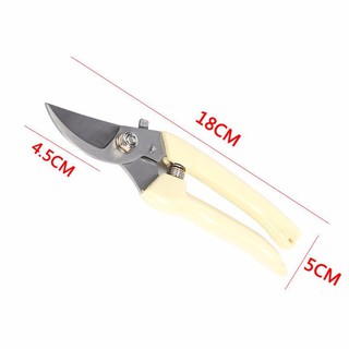 KÉO CẮT TỈA CÀNH CÂY, CẮT HOA