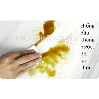 giấy dan tường decal cao cấp (206)