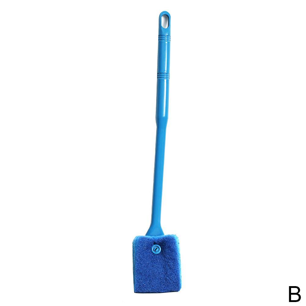 Cây Lau Kính Bể Cá H7Z1