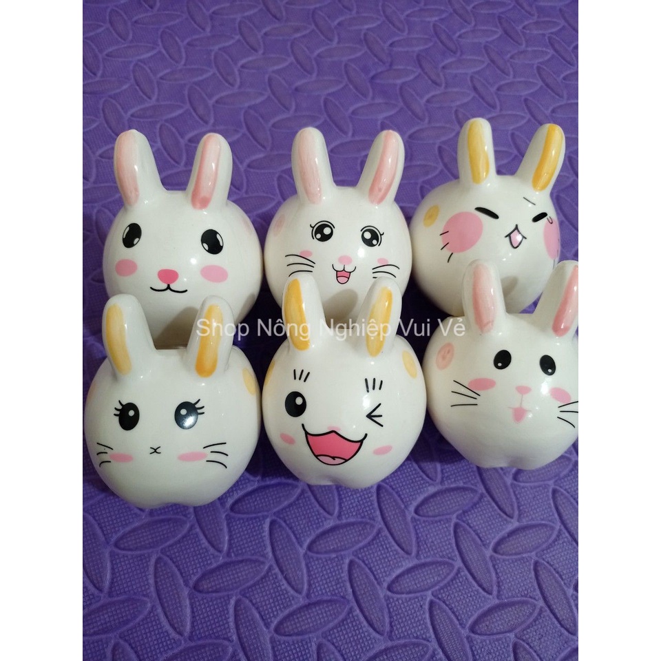 Chậu sứ mini trồng cây để bàn hình thỏ - Chậu trồng cây xương rồng, sen đá nhỏ