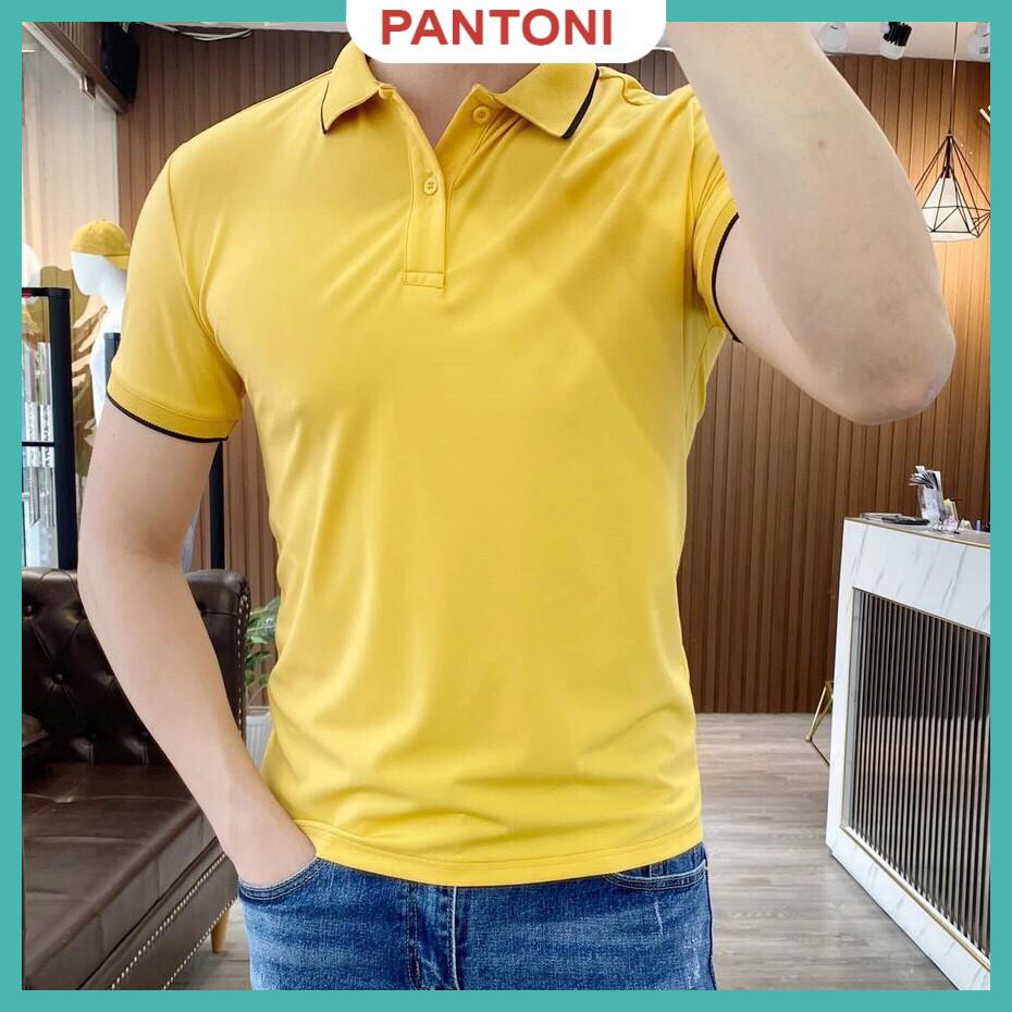 Áo phông nam ngắn tay cổ bẻ phối viền cao cấp : Kiểu dáng Hàn Quốc chất liệu cotton , co giãn 4 chiều(APKV) | BigBuy360 - bigbuy360.vn