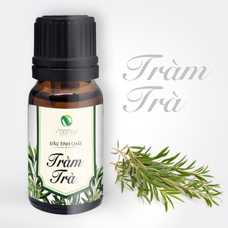 Tinh Dầu Tràm Trà Nga My Dung Tích 10ml Giúp Thơm Phòng Khử Mùi Giảm Căng Thẳng Mệt Mỏi