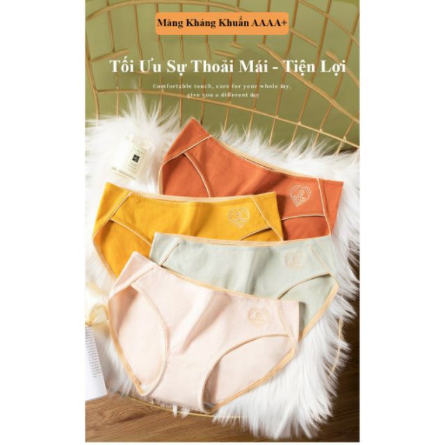 Quần Lót Cotton Sợi Bông Kháng Khuẩn Cao Cấp -CC01 (D)