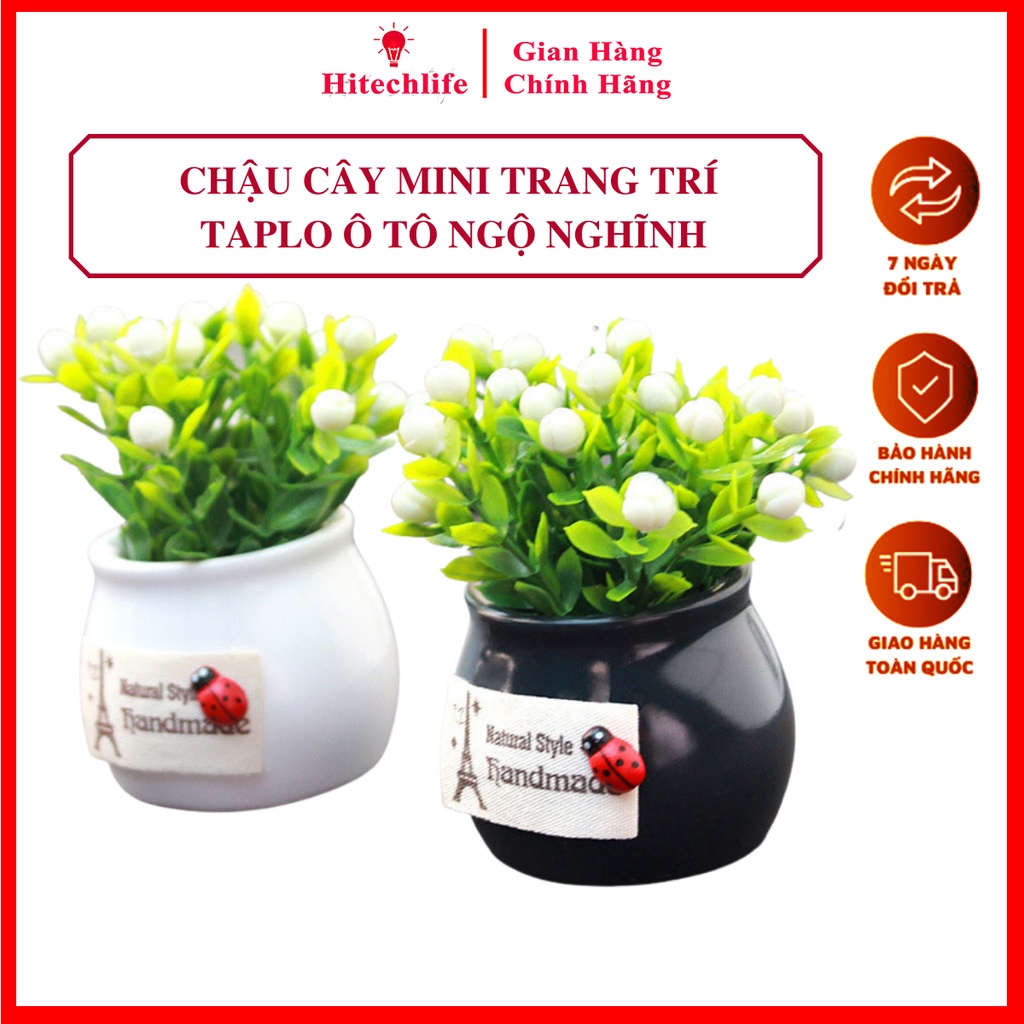 Phụ Kiện Trang Trí Ô Tô Chậu Cây Mini Cực Xinh Trang Trí Taplo Xe Hơi, Bàn Làm Việc, Bàn Học - Phụ Kiện Oto Hitechlife