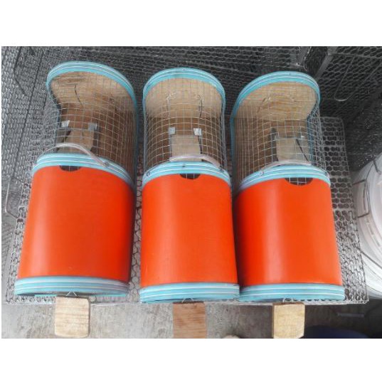 Bẫy chuột nhiều con thông minh loại Đại [HIỆU QUẢ 100%]