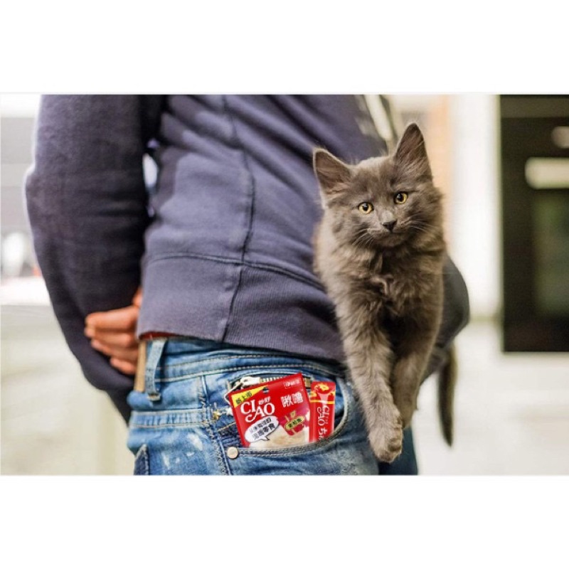 Súp thưởng Ciao Churu dạng kem cho mèo - gói 6 thanh