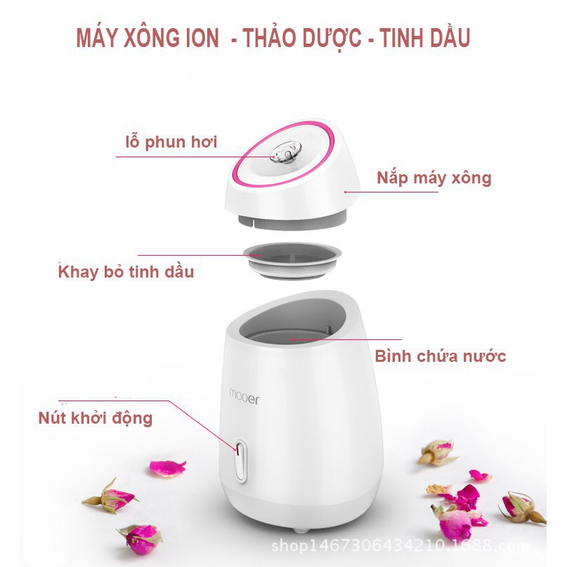 Máy xông hơi mặt thảo dược , hoa quả tươi 2 in 1 Maoer