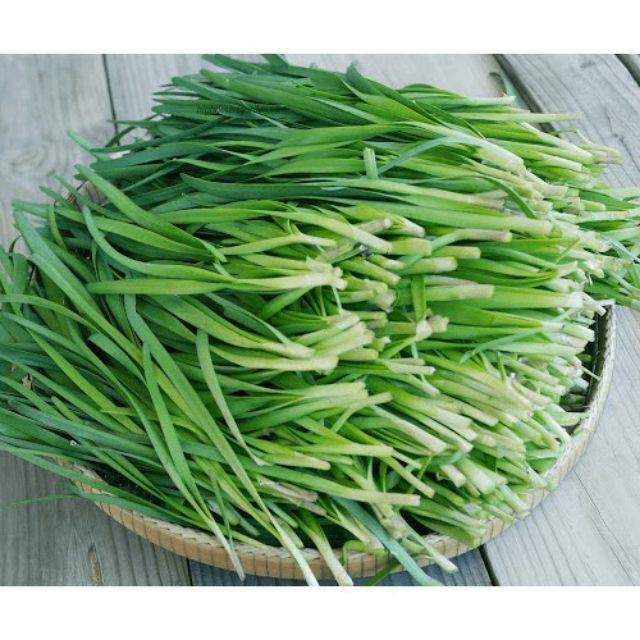 Hạt giống Hẹ Ta 5Gram khoảng 50 hạt luckyseed hạt siêu rẻ