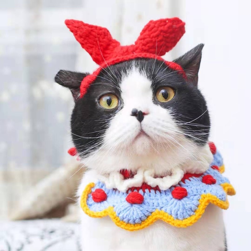 Set Nàng Bạch Tuyết