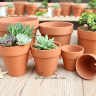 Combo 10 chậu đất nung mini dùng trồng cây 7cm