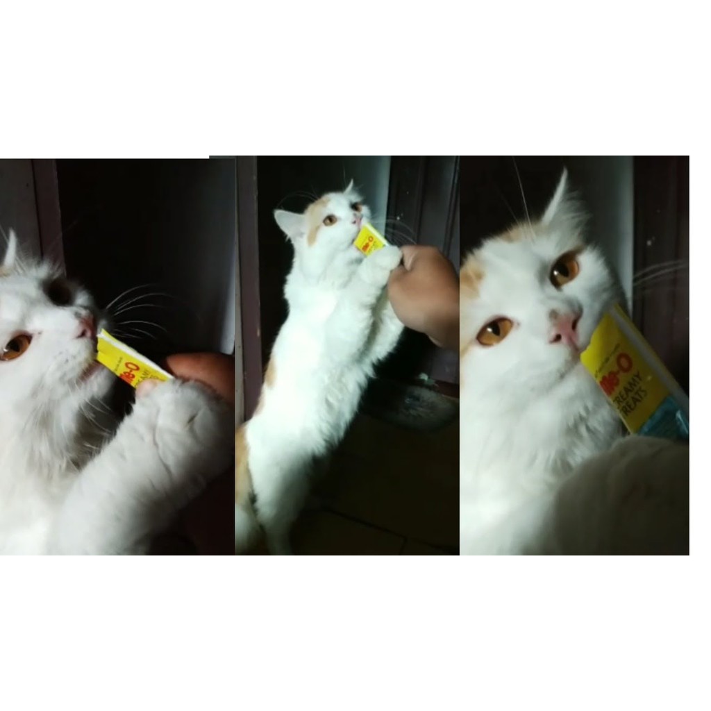 BÁNH THƯỞNG CHO MÈO Dạng kem Me-o Hương vị cá ngừ Gói 15g Xuất xứ Thái lan - Pet shop Uytinpro