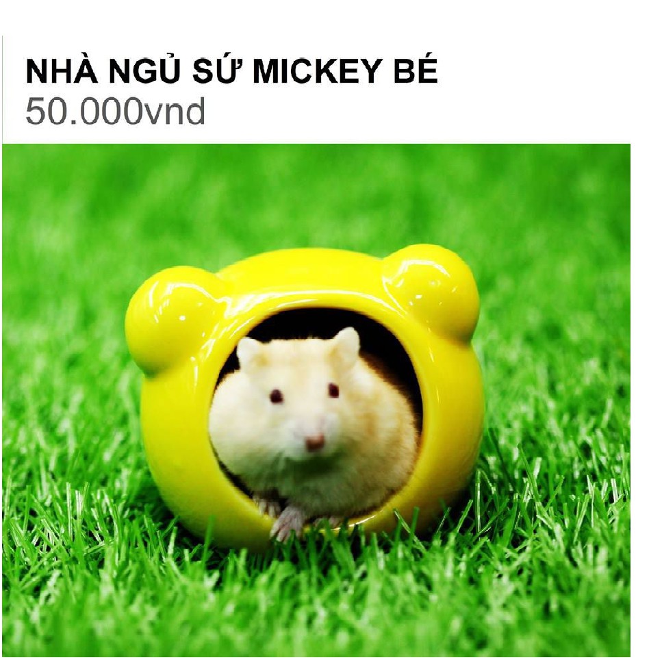 Nhà ngủ sứ hình chuột mickey