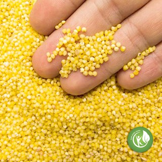 Hạt Kê Nếp Vàng 1KG - ND117