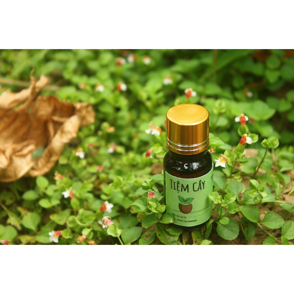 Tinh dầu Bạc Hà xông hương mát lạnh - chai 20ml