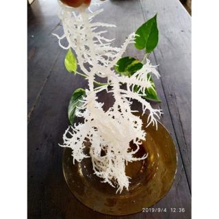 Rong sụn khô