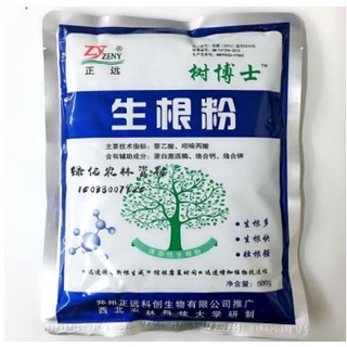 Kích Rễ cây Đài loan