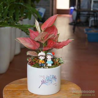 Chậu trụ in hình hoa văn chữ lucky happy smile love trồng cây cảnh đẹp