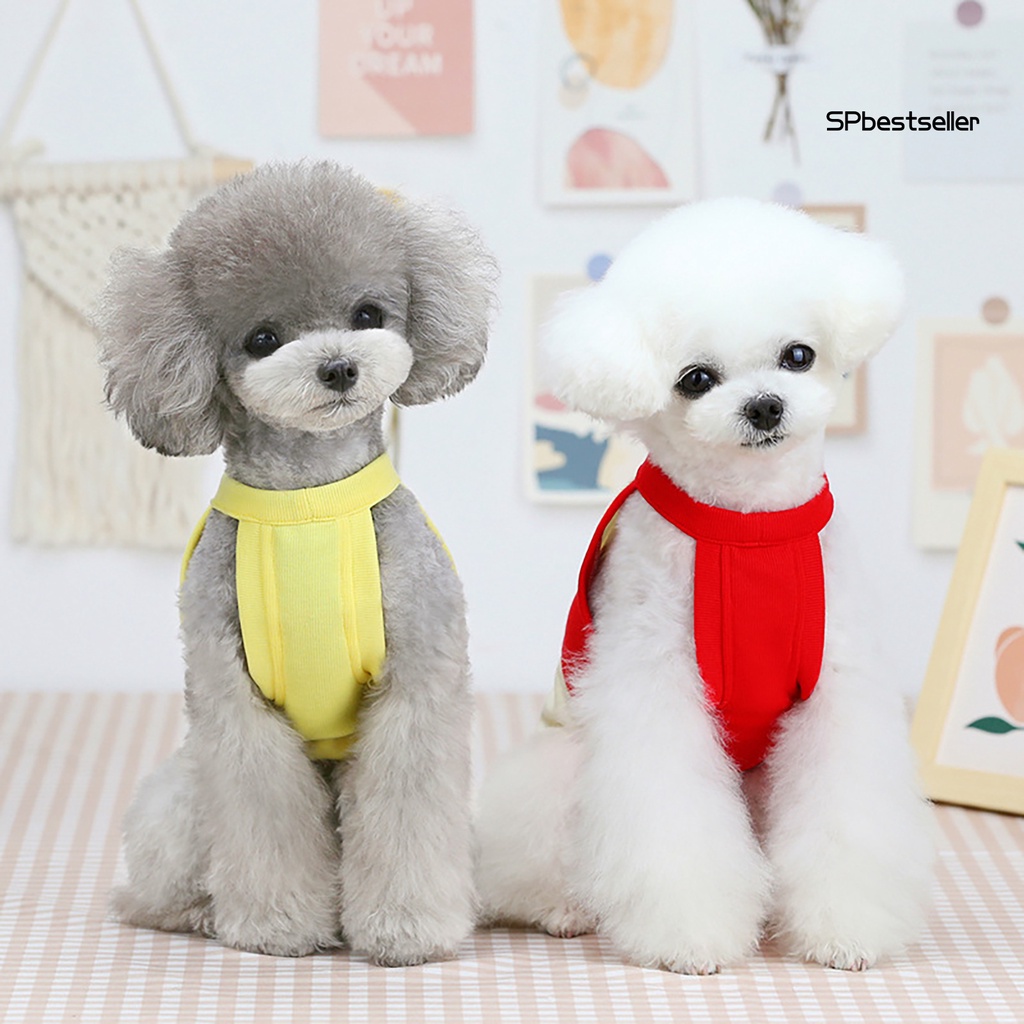 Áo thun cotton thoáng khí in họa tiết trái cây dễ thương thời trang mùa hè cho thú cưng