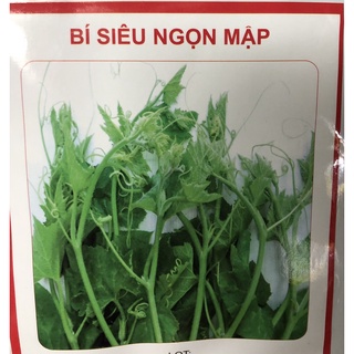 Hạt giống: Bí non ngọn mập - Bí siêu ngọn mập