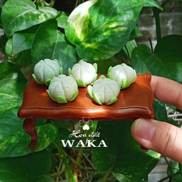 Set Tết- Cặp Bưởi Mini 01- Mô hình 1/12