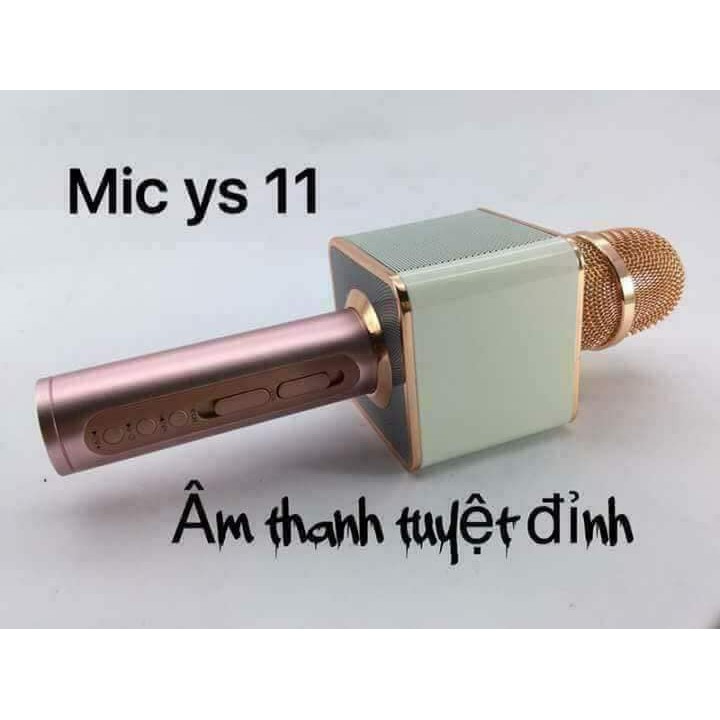 Mic hát YS 11 kèm loa