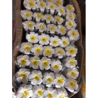 set 50 bông hoa đại cài tóc