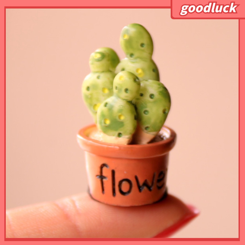 Mô hình cây mọng nước mini trang trí sân vườn DIY