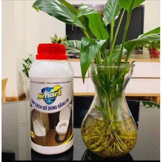 Dung dịch tẩy rửa sứ siêu sạch Smart TS