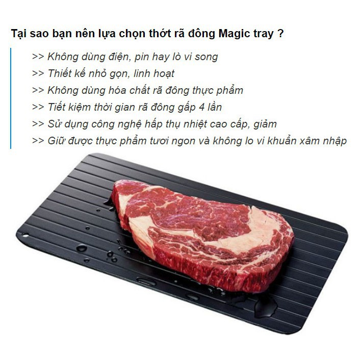 Khay rã đông thực phẩm nhanh Defrost Tray cao cấp (23x16.5)cm |