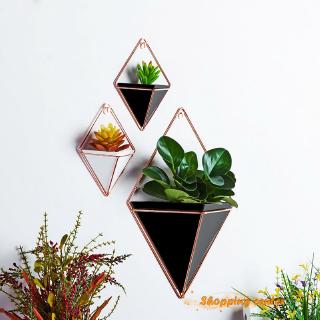 Bộ 2 chậu cây treo tường mini
