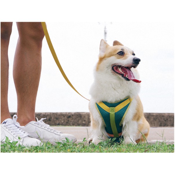 Tuff Hound Set xích Yếm vest và dây dắt cho cún/ Thú cưng