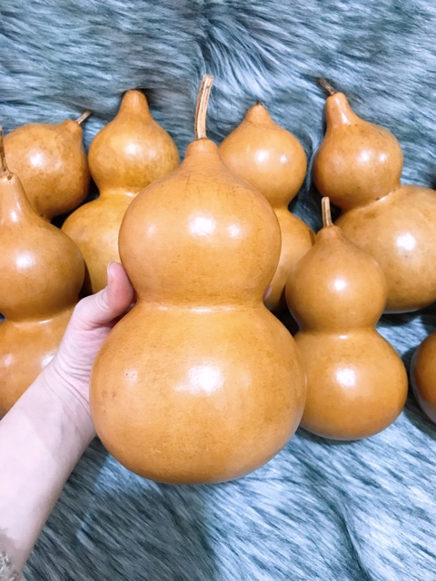 Bầu hồ lô khô tự nhiên | BigBuy360 - bigbuy360.vn