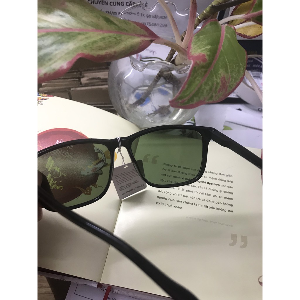 Mắt Kính RoyBon Original Wayfarer Tròng Thủy Tinh Cao Cấp | BigBuy360 - bigbuy360.vn