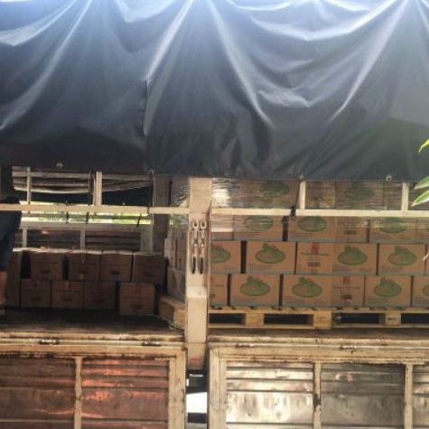 Vải Thiều Ngâm Nước Đường Hạ Long Canfish Lon Nắp Bật 560gr | BigBuy360 - bigbuy360.vn