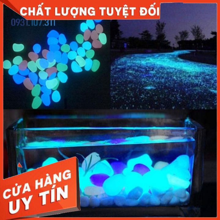 Đá Dạ Quang Nhiều Màu Sắc Trang Trí Bể Cá, Chậu Cây, Sân Vườn