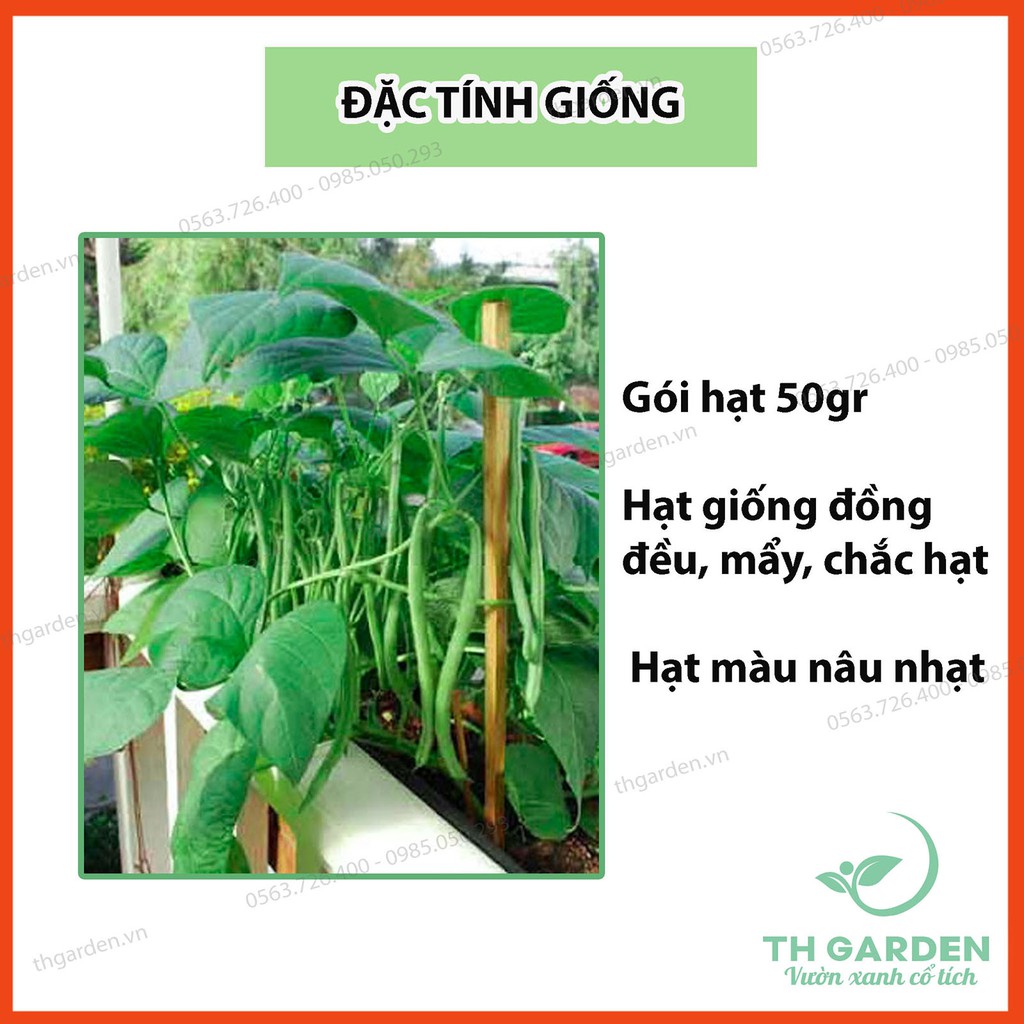 Hạt Giống Đậu Cove Leo Tứ Quý Cao Sản - Hạt Nâu 50gr