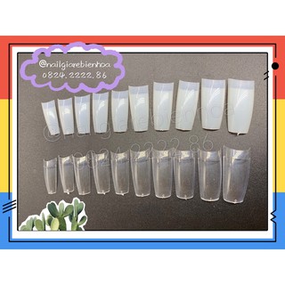 Tip đầu móng nối 500 cái- 10 size