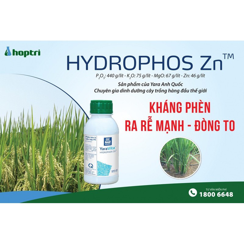 Phân Bón Hợp Trí  Hydrophos 500ML Giúp  TĂNG PHÂN HÓA MẦM HOA KHÁNG PHÈN MẶN