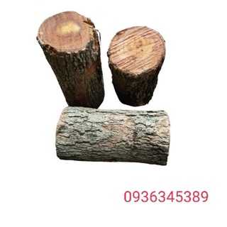 Gỗ nhãn ghép lan, đường kính 10-12 cm, dài 16 - 25 cm