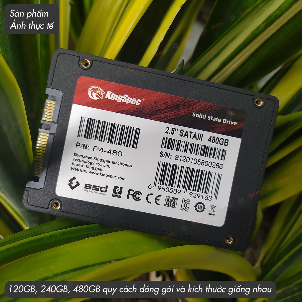 Ổ cứng SSD KingSpec 2.5 SATA cài sẵn Win 10 , 120GB / 240GB / 480GB | P4 - Hàng Chính Hãng